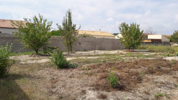 agence immobilière en bord de mer