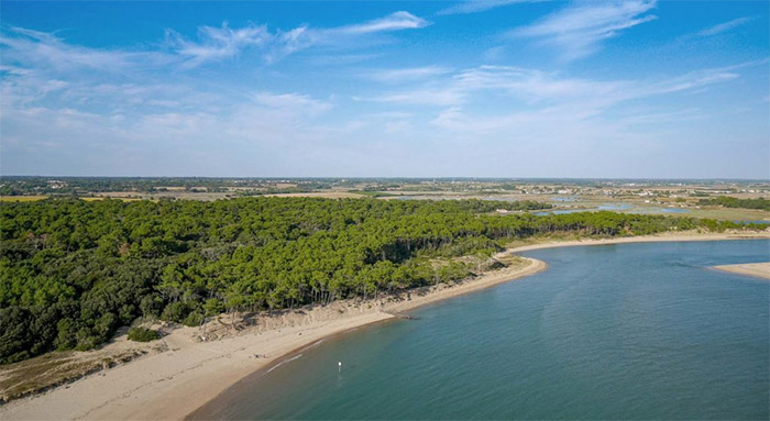 Recherche terrain à vendre littoral vendéen 