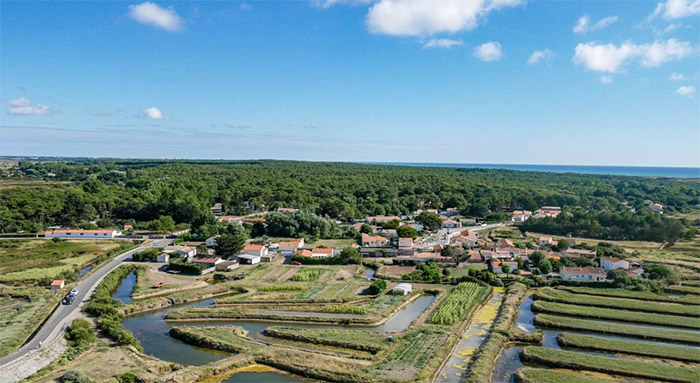 prix m2 d'un terrain Les Sables d’Olonne