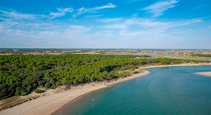 Terrain à vendre proche de al plage sur la région des Sables d’Olonne